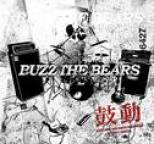 BUZZ THE BEARS - KODOU