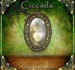 Ciccada - A Child in the Mirror