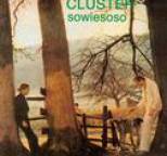 Cluster - Sowiesoso