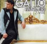 Gatto Panceri - 7 vite
