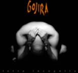 Gojira - Terra Incognita