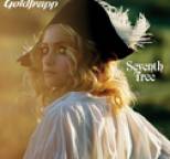 Goldfrapp - Seventh Tree