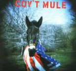 Gov't Mule - Gov't Mule