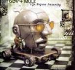 Gov't Mule - Life Before Insanity