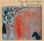 Graham Coxon - The Sky Is Too High