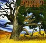Groundation - Young Tree