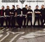 Guadalajara - Trampled Pathways