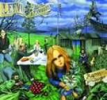 Leevi and the Leavings - Raparperitaivas