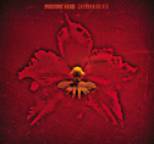 Machine Head - The Burning Red