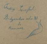 Ondrej Smeykal - Didgeridoo Solo III and Remixes