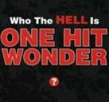 One Hit Wonder - Who the Hell Is One Hit Wonder