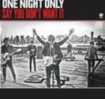 One Night Only - Say You Don't Want It