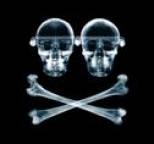 Orbital - The Altogether