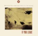 Orchestral Manoeuvres in the Dark - If You Leave