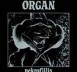 Organ - Nekrofiilis
