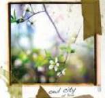 Owl City - Of June