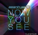 Sean Tyas - Now You See