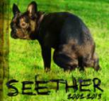 Seether - Seether: 2002 - 2013