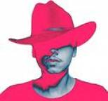 Seth Troxler - Panic, Stop. Repeat!