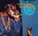 Shabba ranks - Just Reality