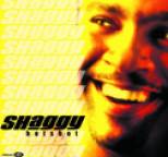 Shaggy - Hot Shot