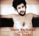 Shane MacGowan and the Popes - The Snake