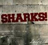 Sharks! - Holy Rip!