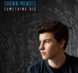 Shawn Mendes - Something Big