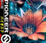 She - Pioneer