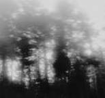 Shifted - The Cold Light