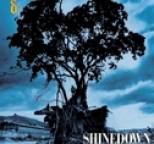 Shinedown - Simple Man