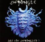 Shpongle - Are You Shpongled?