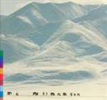 Shu-De - Voices From The Distant Steppe