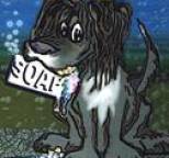 Soap - Soap