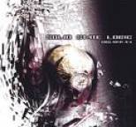 Solid State Logic - Disarray