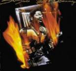 Son Seals - Live and Burning