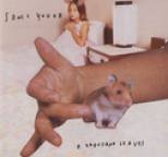 Sonic Youth - A Thousand Leaves