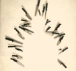 Sparta - Threes