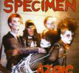 Specimen - Azoic