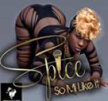 Spice - So Mi Like It