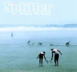 Splitter - Devil in the Detail