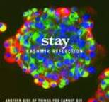 Stay - Kashmir Reflection