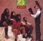 Steel Pulse - True Democracy