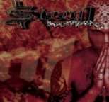 Steen1 - Salaliittoteoria
