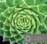 Steve Brand - Spiritual Science