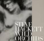 Steve Hackett - Wild Orchids