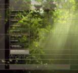 Steve Jansen - Montage
