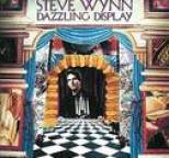 Steve Wynn - Dazzling Display
