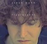 Steve Wynn - Fluorescent