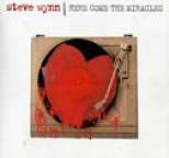 Steve Wynn - Here Come the Miracles
